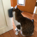 Coça Gato Escova Para Pet's | Napi