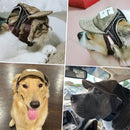 Chapéu Protetor Solar para Cães e Gato | G