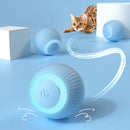 Bola Elétrica comLED Brinquedo Inteligente para Gatos | PetPlay