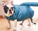Capa Inflável Secadora para Cachorro  | PetDryer