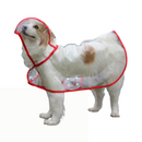Capa de chuva transparente para cachorros